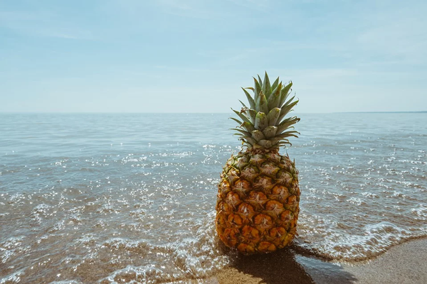 vertus de 3 aliments : ananas, pamplemousse et chicorée